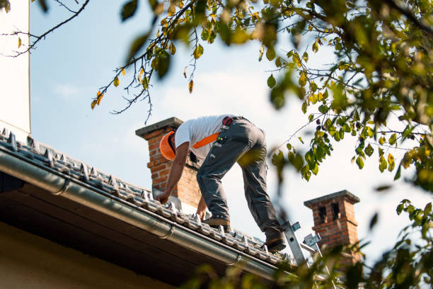 Best Storm Damage Roof Repair  in Mammoth, AZ